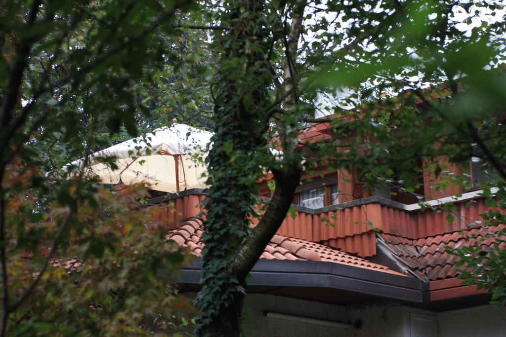App Carolina Apartment Creazzo Cameră foto